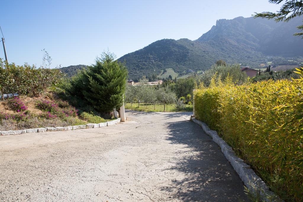 Natur Hotel Tanca Кардеду Экстерьер фото