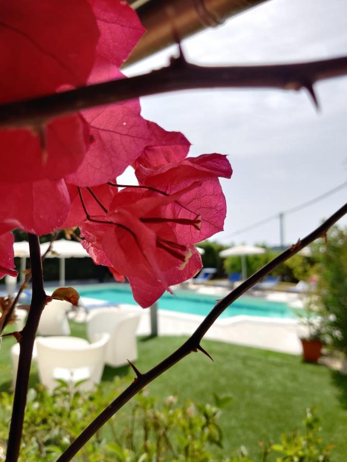 Natur Hotel Tanca Кардеду Экстерьер фото