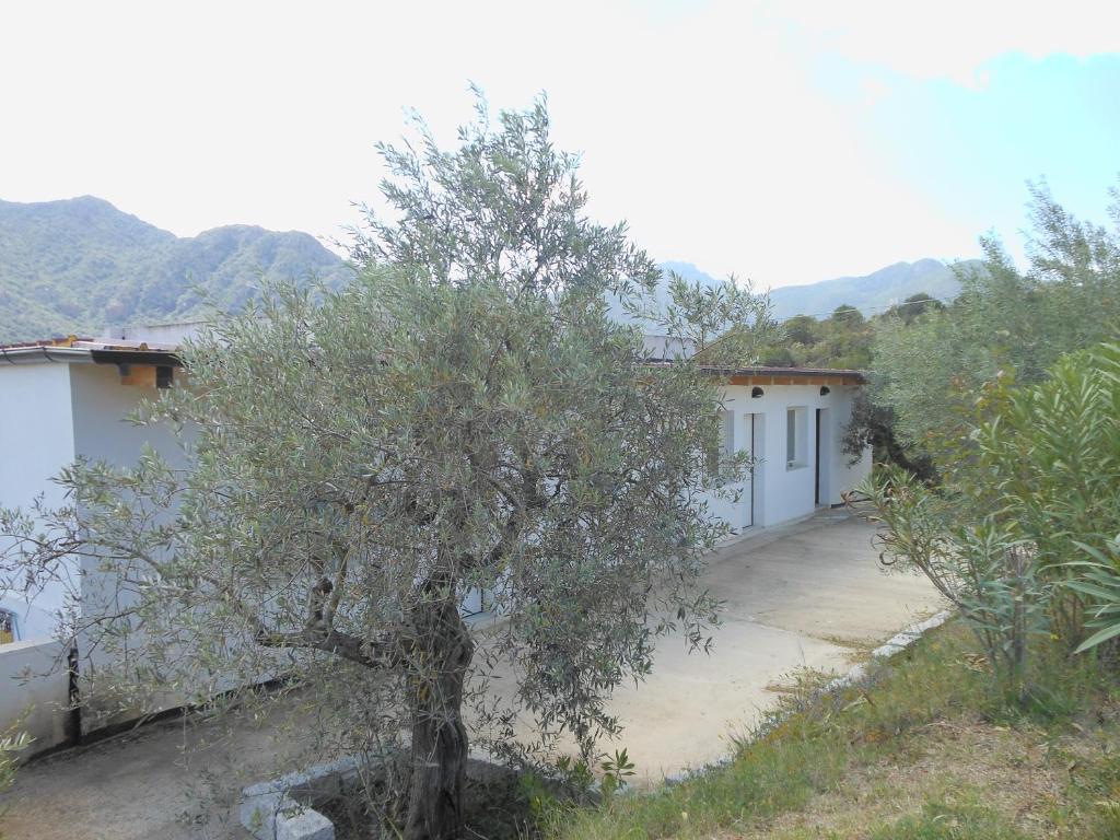Natur Hotel Tanca Кардеду Экстерьер фото